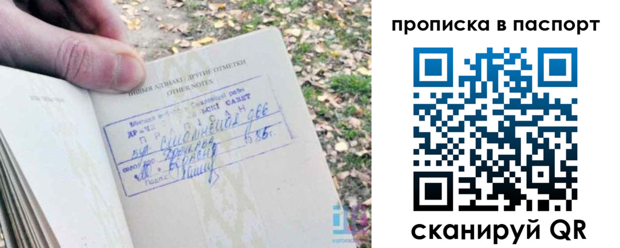 купить прописку в Свирске